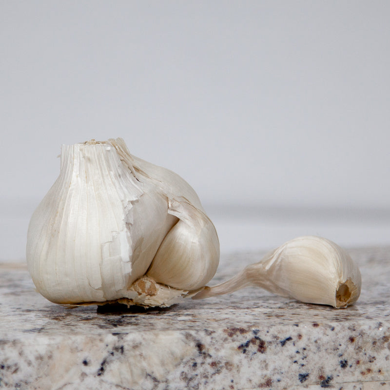 Organic Early Purple Italian Garlic (lb) Grow Organic