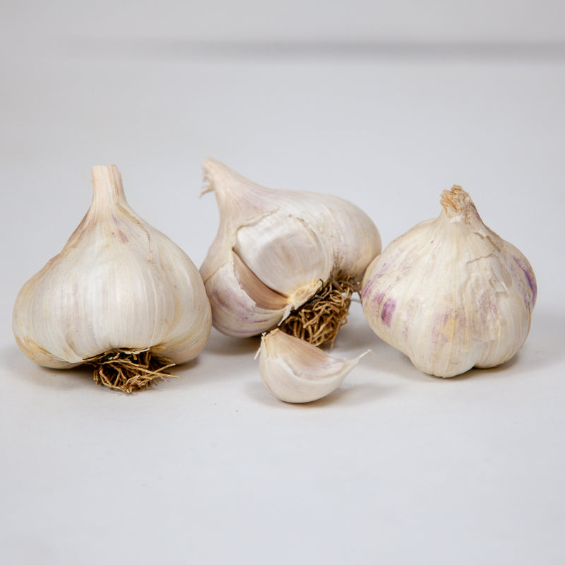 Organic Sicilian Garlic (lb) Grow Organic