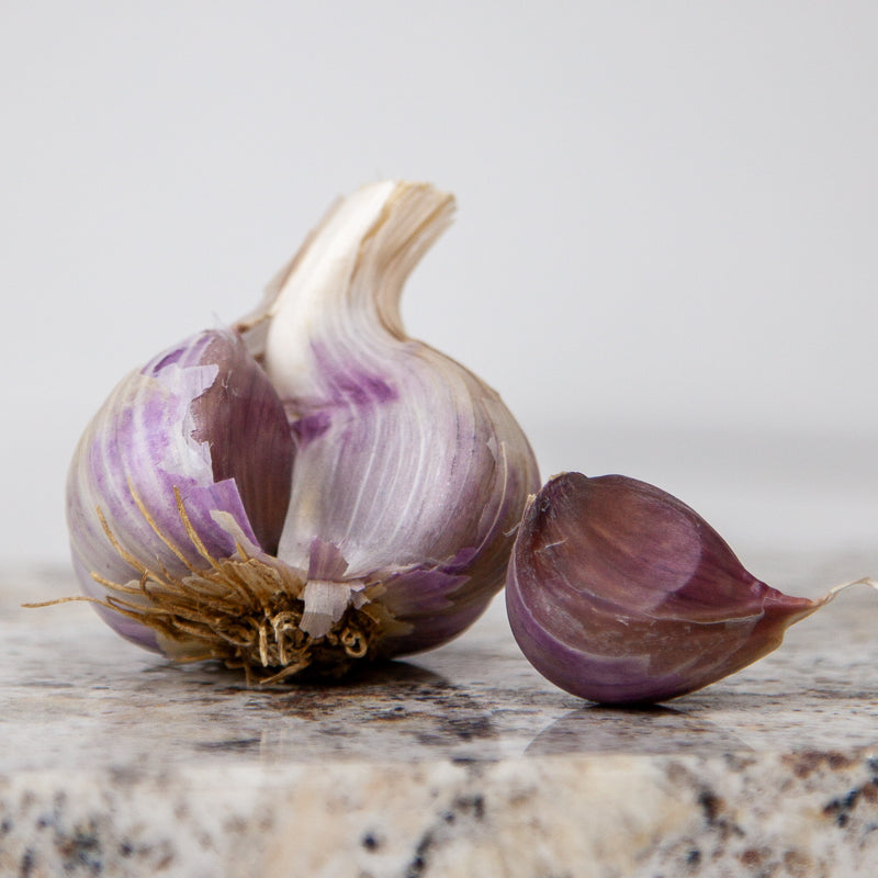 Organic German White Garlic (lb) Grow Organic