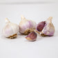 Organic German White Garlic (lb) Grow Organic