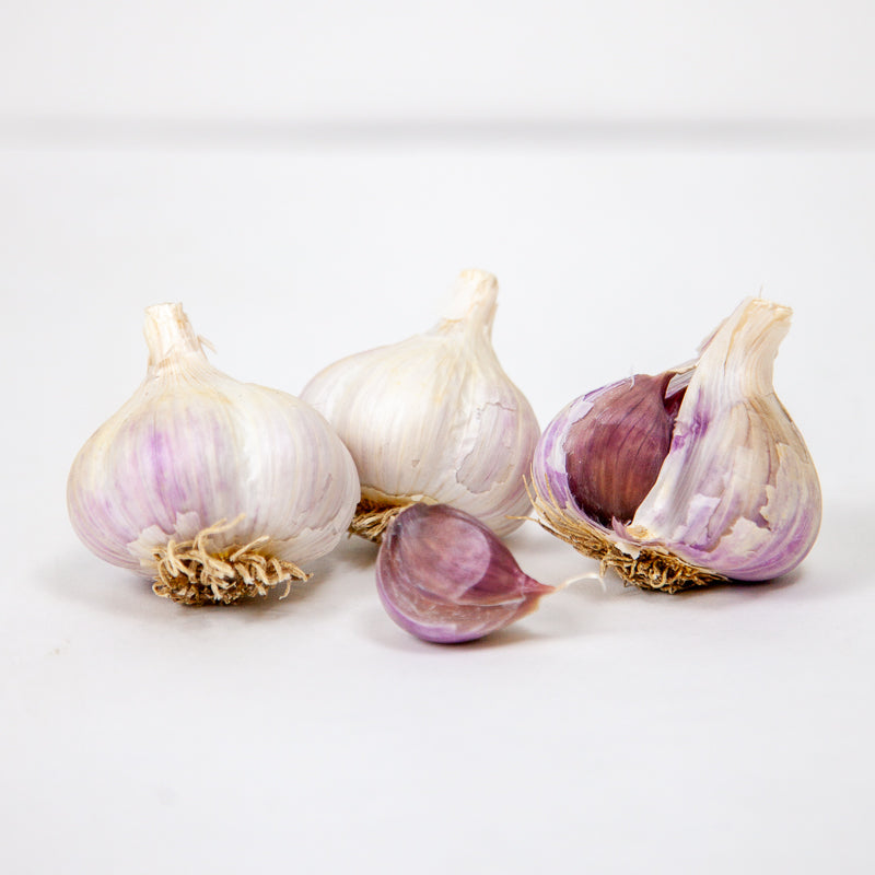 Organic German White Garlic (lb) Grow Organic
