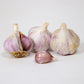 Organic German Xtra Hardy Garlic (Lb) Grow Organic