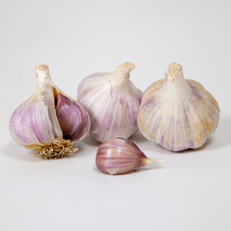 Organic German Xtra Hardy Garlic (Lb) Grow Organic