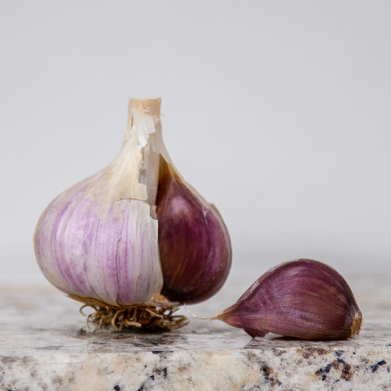 Organic German Xtra Hardy Garlic (Lb) Grow Organic