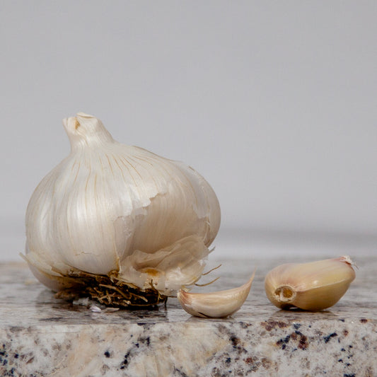California Late White Garlic (lb) Grow Organic