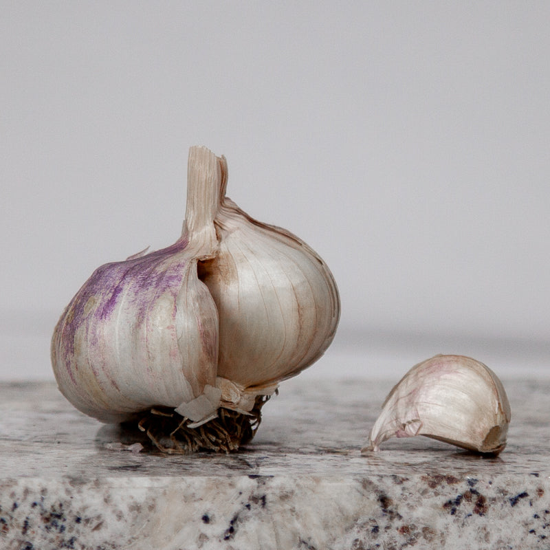 Organic Kingsland Garlic (lb) Grow Organic