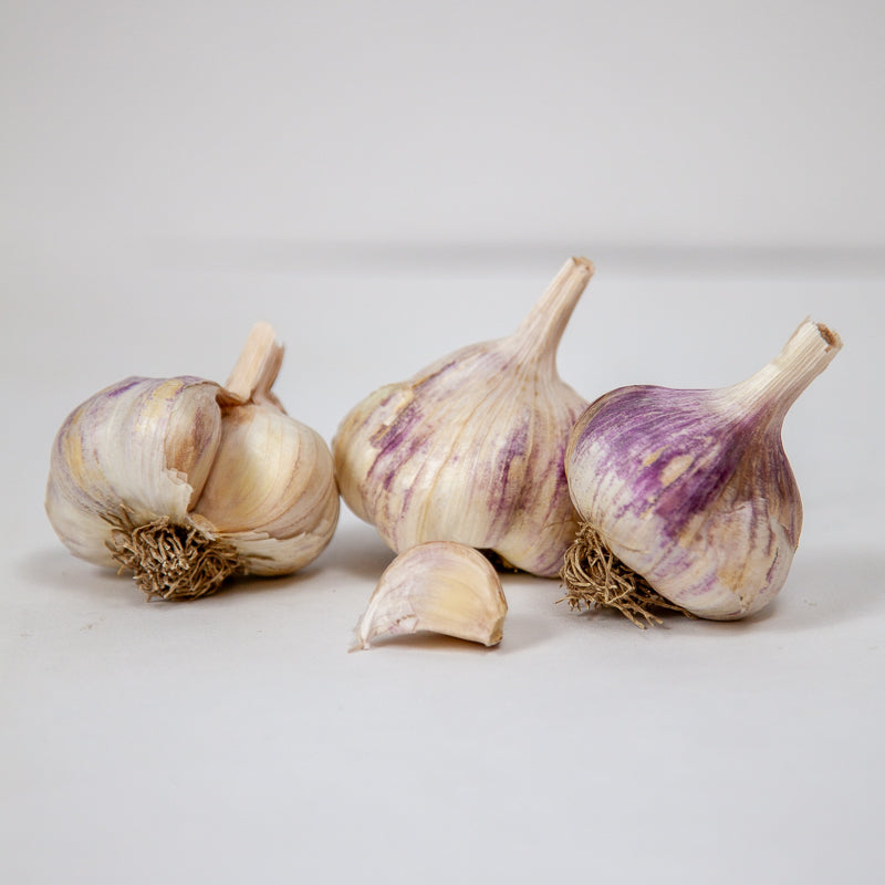 Organic Kingsland Garlic (lb) Grow Organic