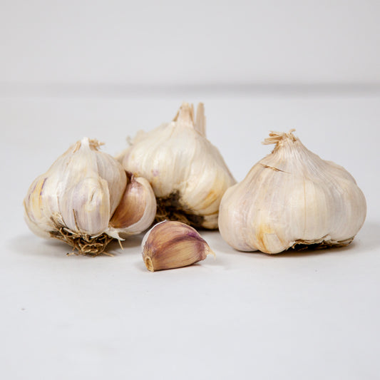 Organic Messidor Garlic (lb) Grow Organic