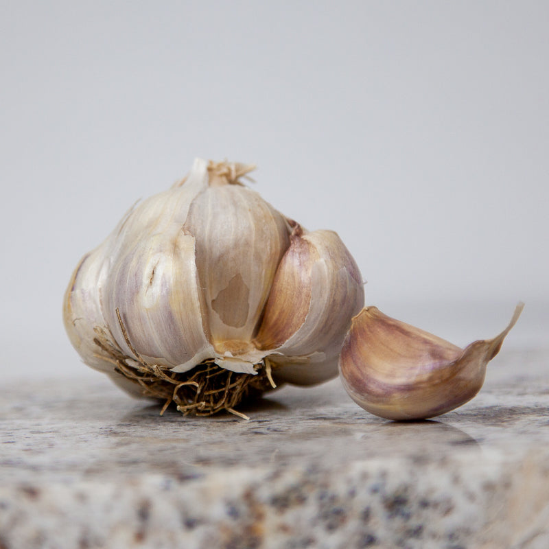 Organic Messidor Garlic (lb) Grow Organic