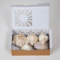 Full of Flavor Curated Organic Garlic Pack Grow Organic