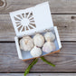 Full of Flavor Curated Organic Garlic Pack Grow Organic