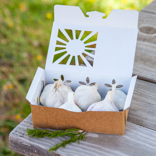 Full of Flavor Curated Organic Garlic Pack Grow Organic