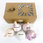 Full of Flavor Curated Organic Garlic Pack Grow Organic