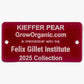 Kieffer Pear Tree - Grow Organic