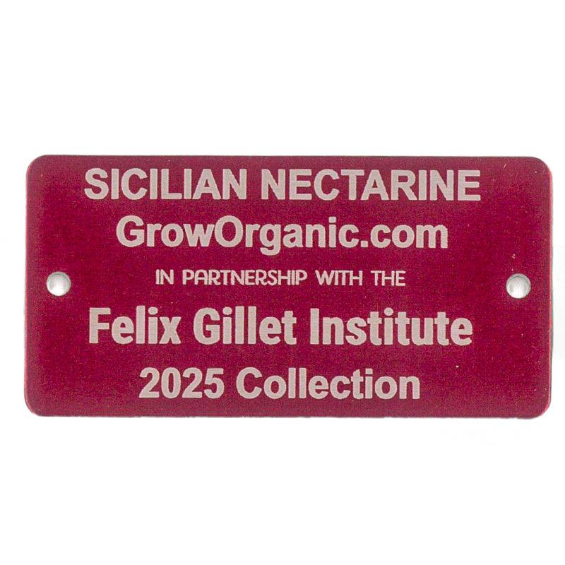 Sicilian Nectarine Tree