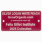 Silver Logan White Peach Tree