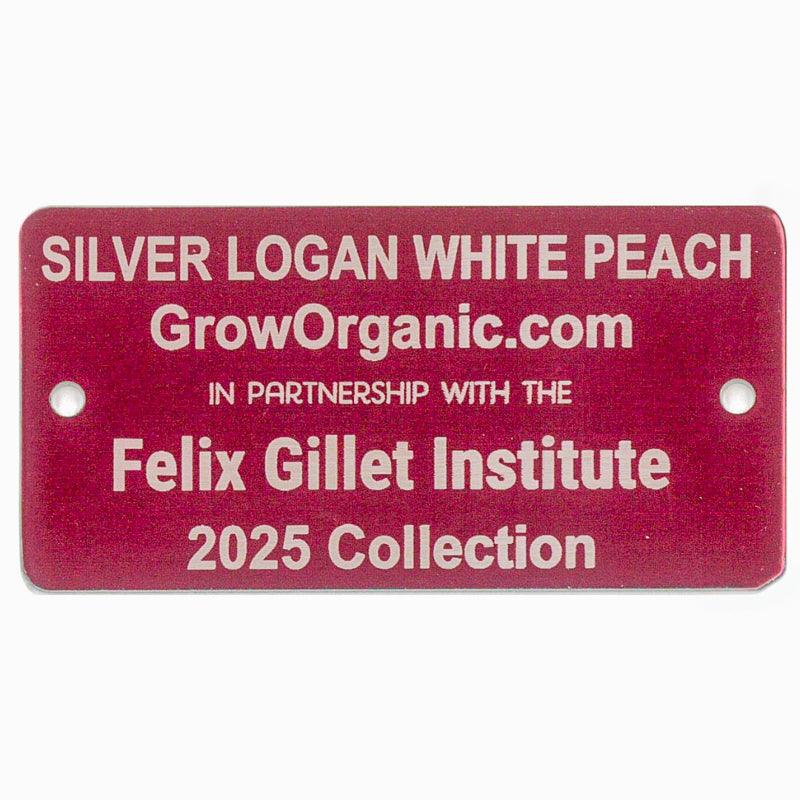 Silver Logan White Peach Tree