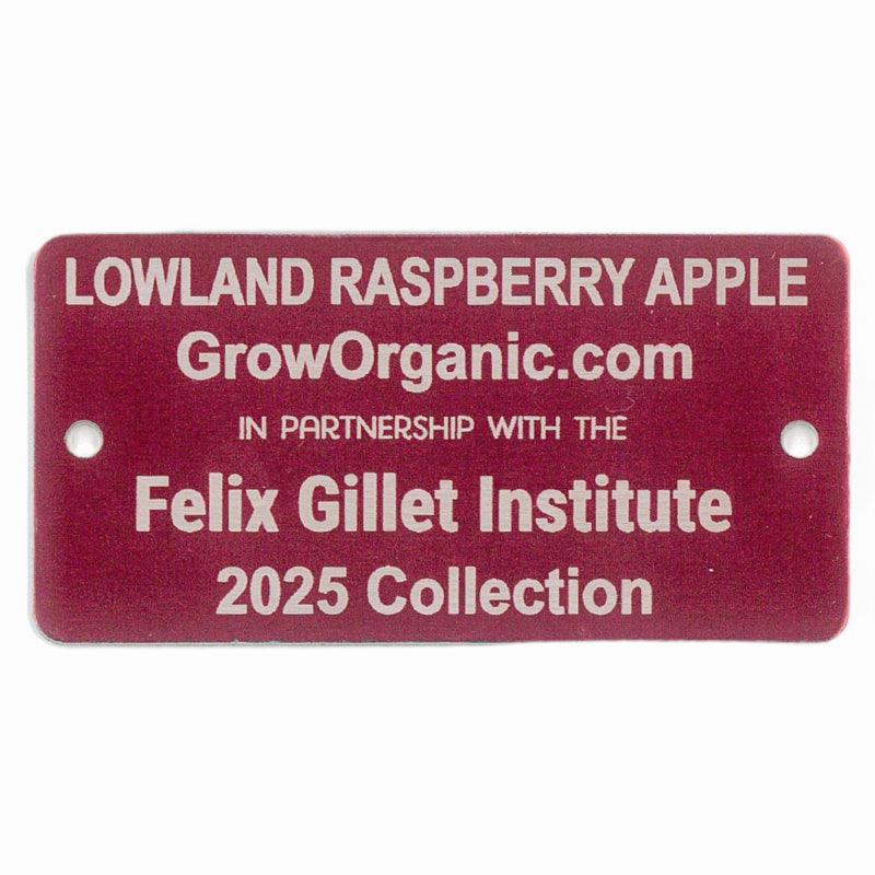 Lowland Raspberry Apple Tree