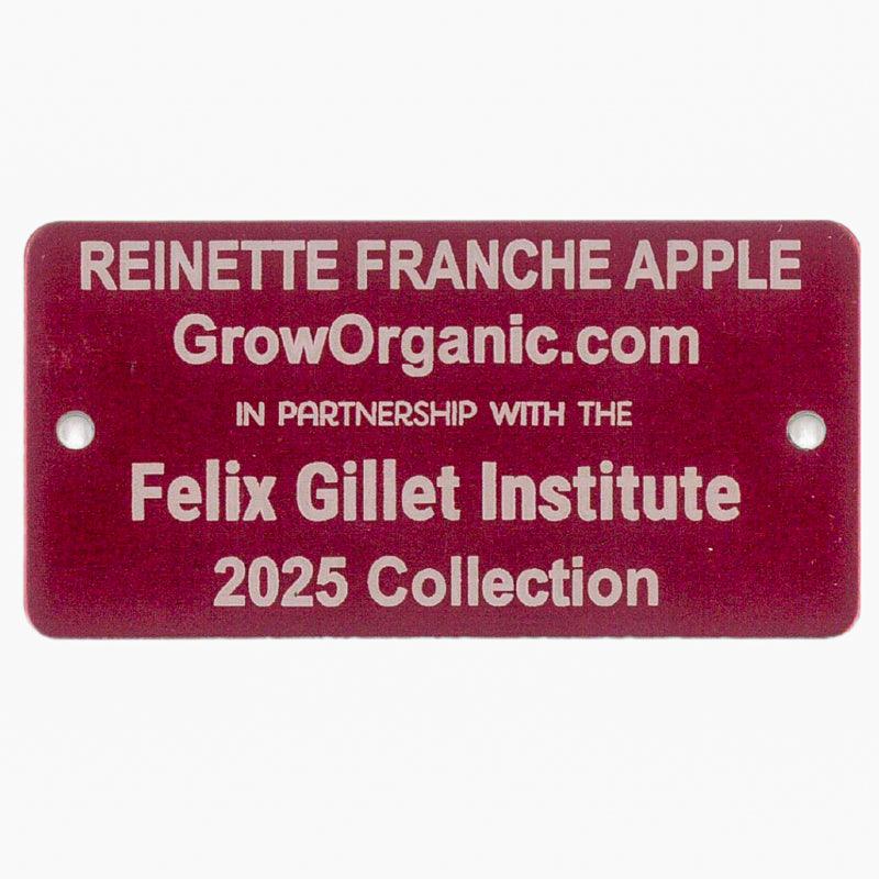 Reinette Franche Apple Tree Felix Gillet Institute