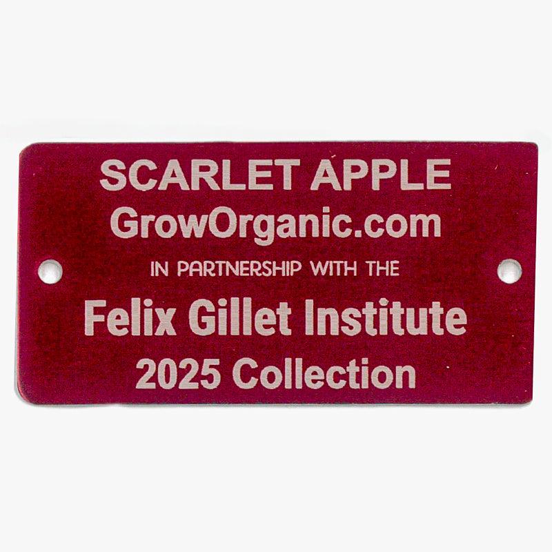 Scarlet Apple Tree