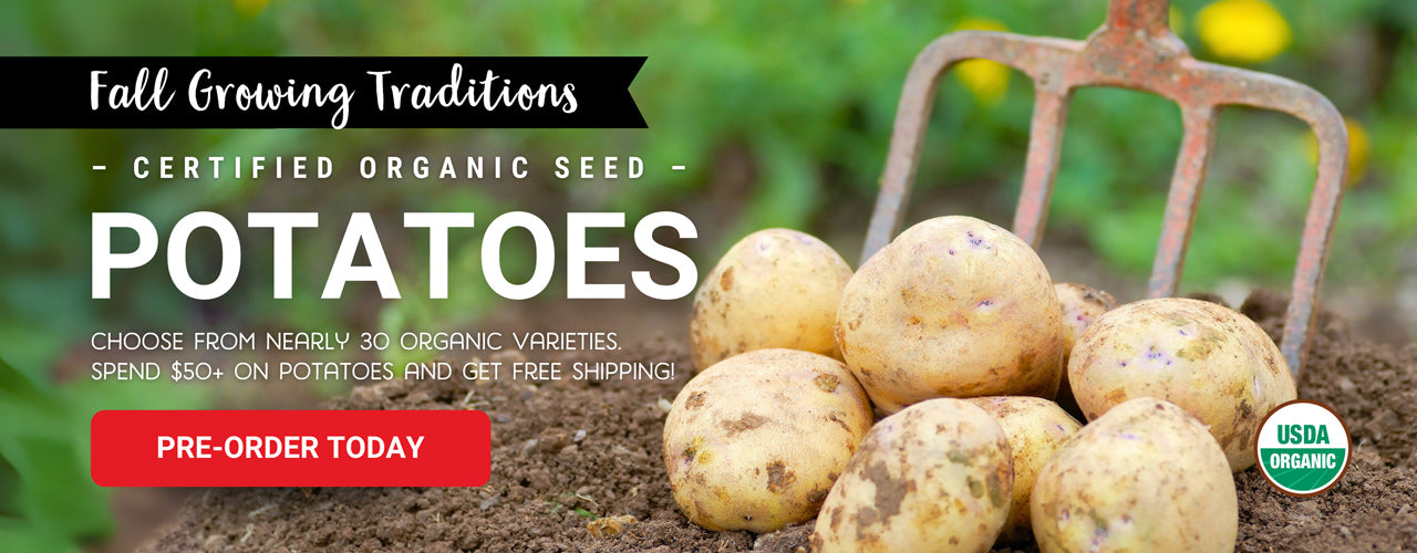 Certified organic seed potatoes for sale. Image with a pile of potatoes and a garden fork in the background.