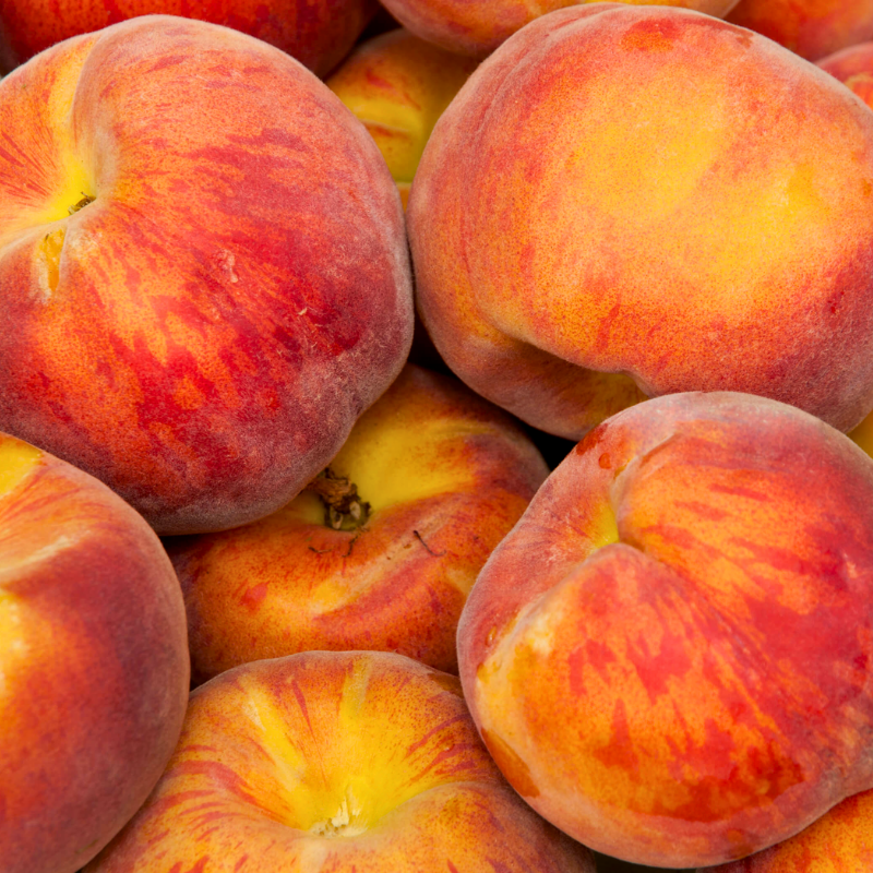 Low Chill Requirement Peaches, 3 on 1 Multi Grafted Fruit Tree Grow Organic