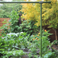 Freyr garden trellis Seattle Urban Farm