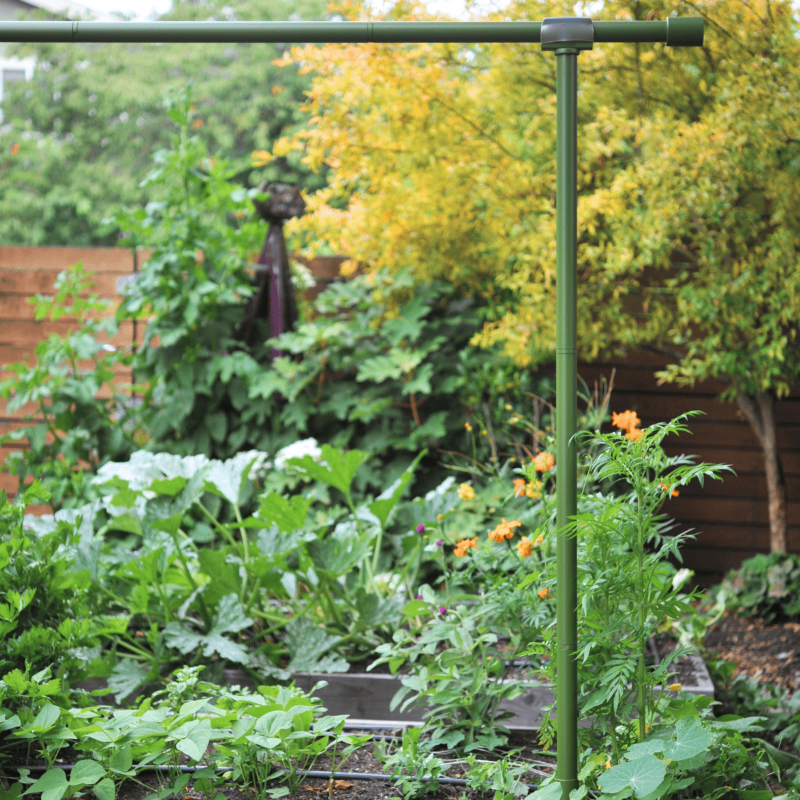 Freyr garden trellis Seattle Urban Farm