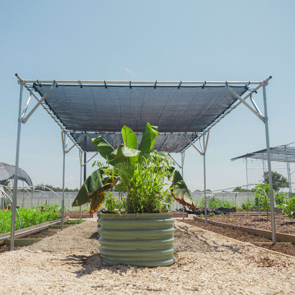 DIY Shade Structure Kit Bootstrap Farmer