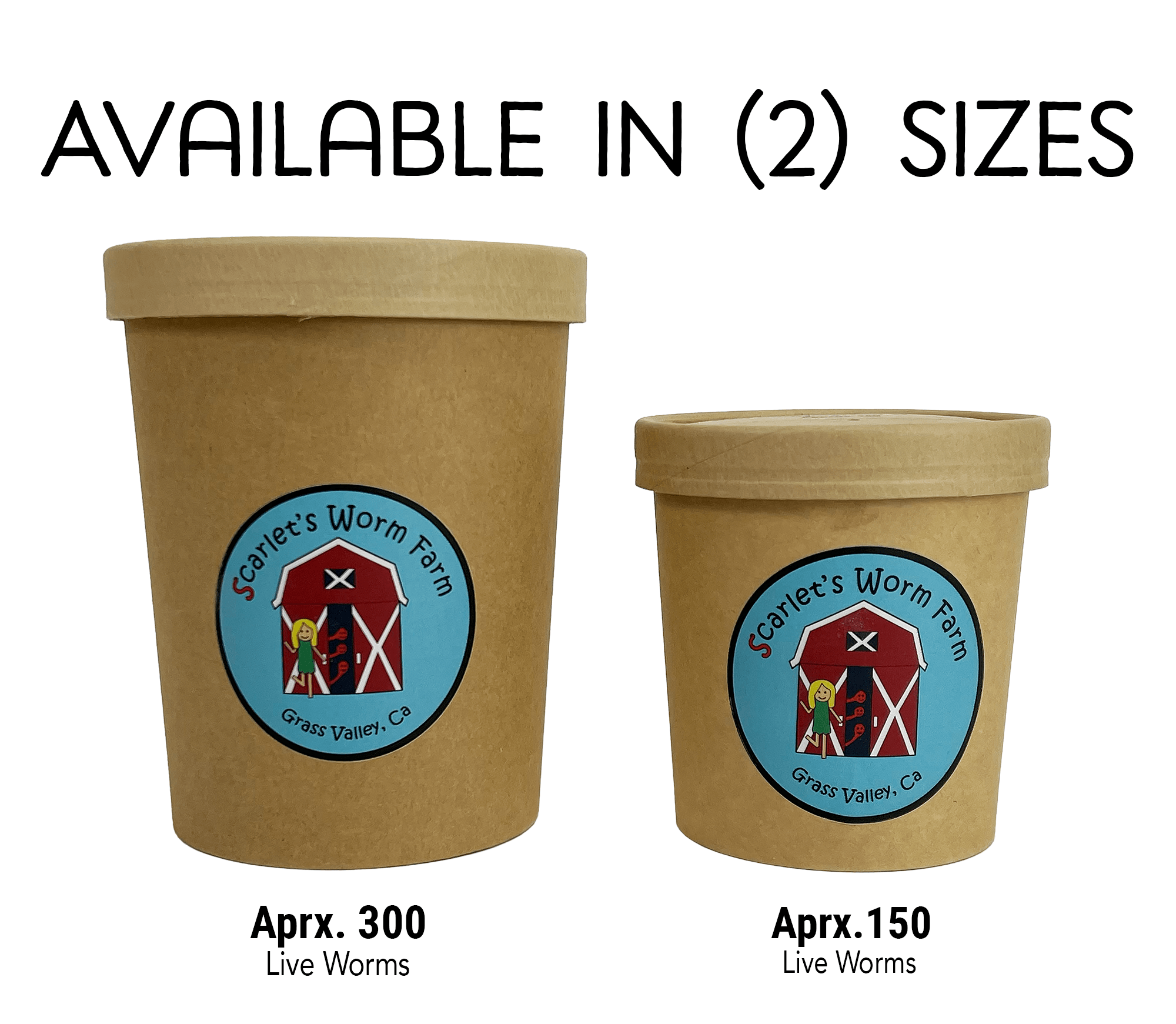 Scarlet's Worm Farm - 300 Composting Worms – Grow Organic