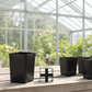 2.38 X 3.75" Band Pots- 540 pots