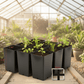 2.88 X 5.5" Band Pots - 312 pots PV Drop Ship