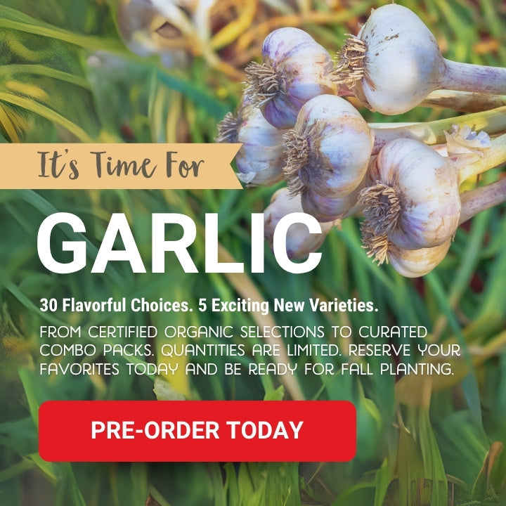 Garlic pre-ordering for fall planting banner with garlic bulbs