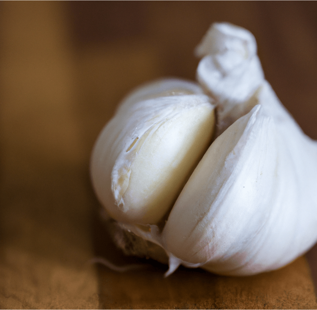 Organic Garlic, German Xtra Hardy Garlic (Lb)