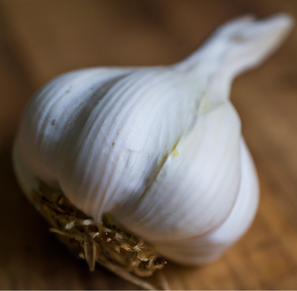 Organic Garlic, German Xtra Hardy Garlic (Lb)