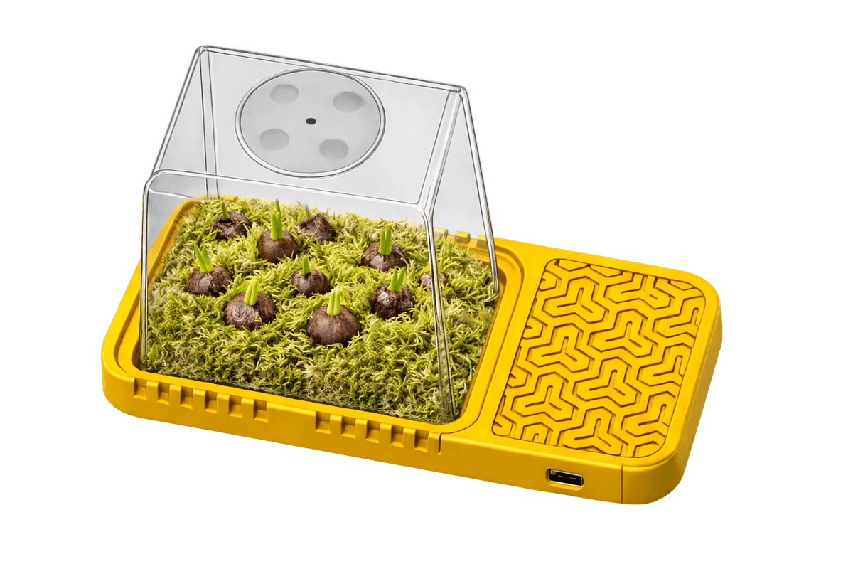 GermiPad Plant Propagation Pad Root Nerds