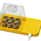 GermiPad Plant Propagation Pad Yellow Root Nerds