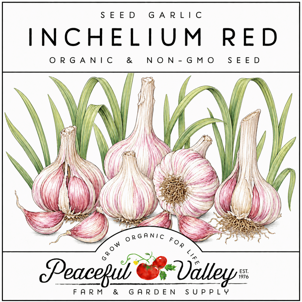Peaceful Valley Garlic Stickers Inchelium Red Grow Organic