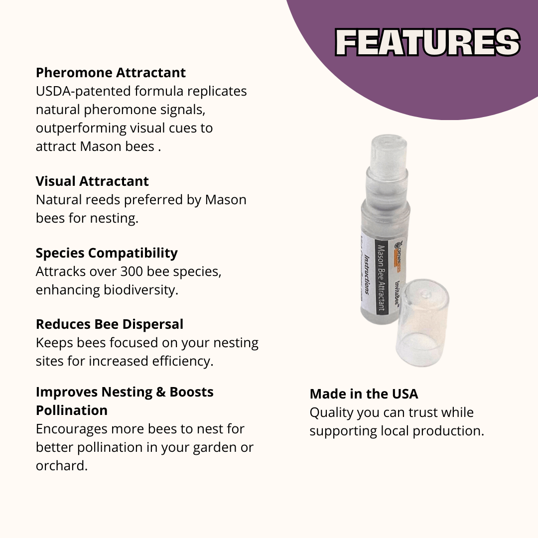 InvitaBee Mason Bee Attractant CrownBees