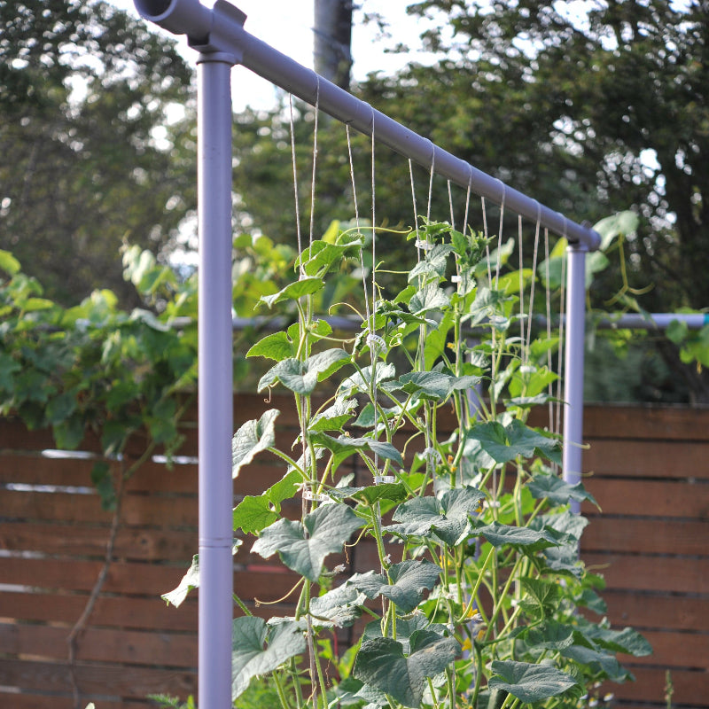 Freyr garden trellis Seattle Urban Farm