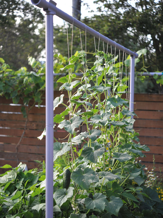 Freyr garden trellis Seattle Urban Farm
