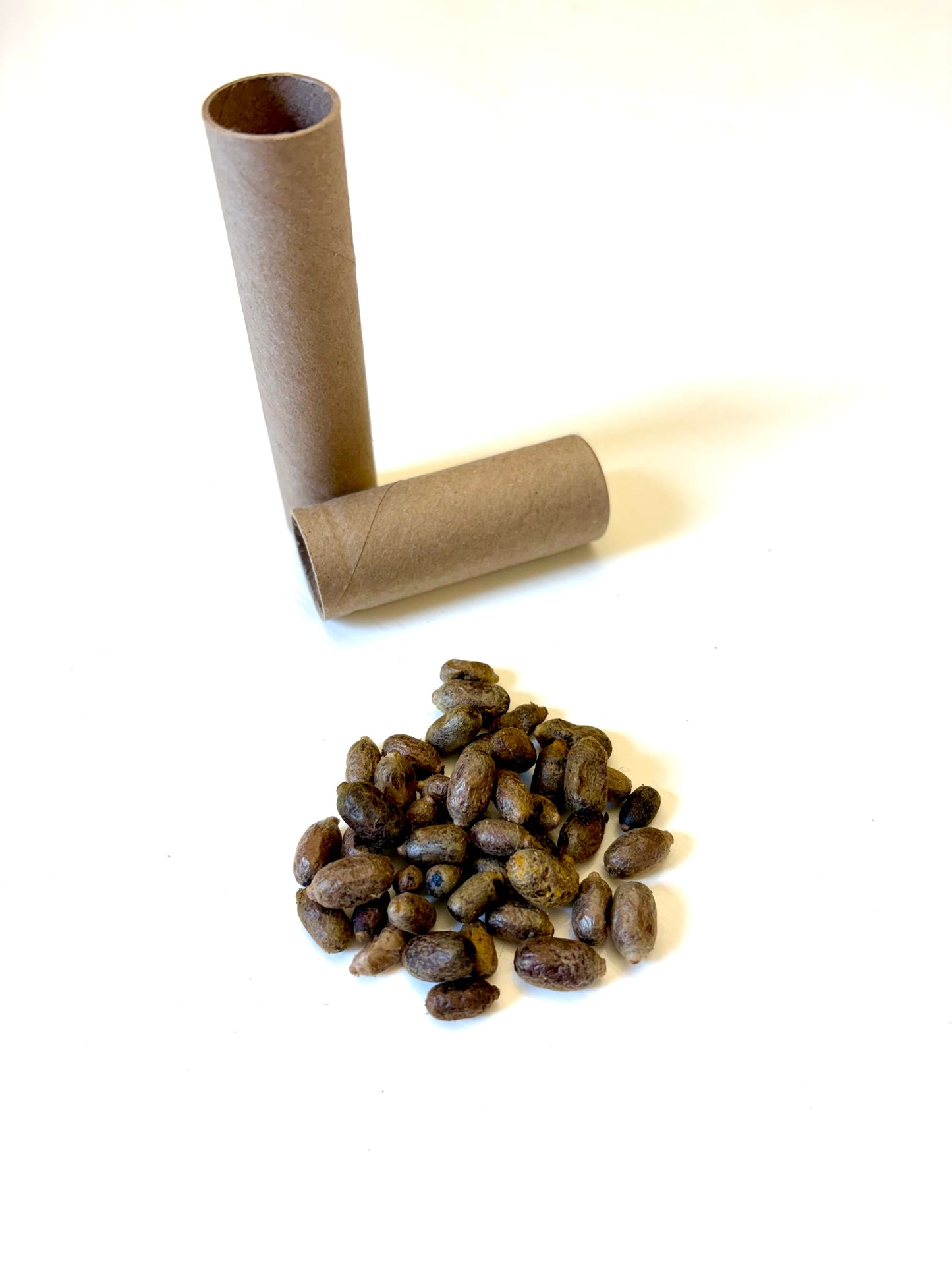 Mason Bees | 40+ OBA Certified Cocoons with Free 2 Day Shipping CrownBees