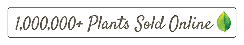 One Million Plants Sold Online - Banner