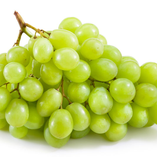 Table Grape Vine - Niagara (Seedless)