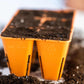 6 Cell Plug Tray Inserts Bootstrap Farmer