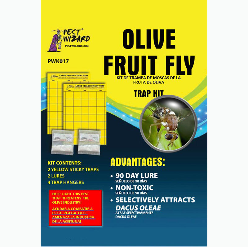 Olive Fruit Fly Traps 2 pack