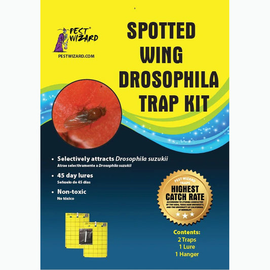 Spotted Wing Drosophila Trap Kit 2 pack 