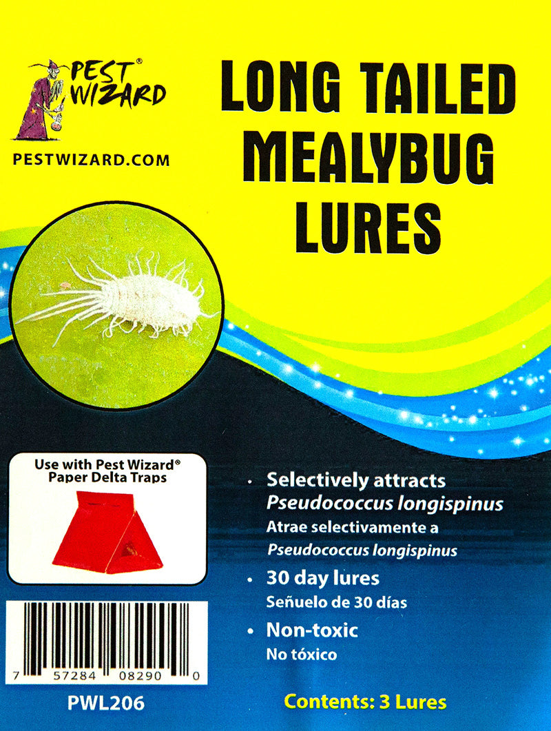 Long Tailed Mealybug Lures Pack of 3 