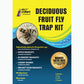 Deciduous Fruit Fly Trap Kit 2 Pack 