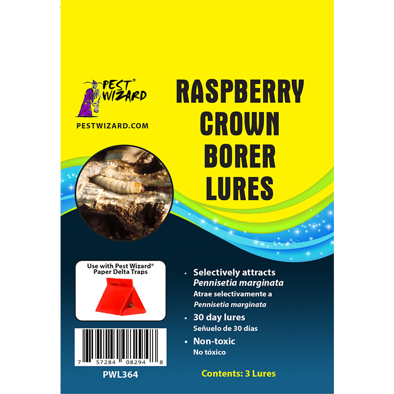 Raspberry Crown Borer Lures Pack of 3